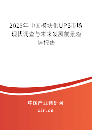 2024年中國模塊化UPS市場現狀調查與未來發展前景趨勢報告