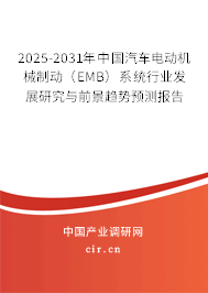 2025-2031年中國汽車電動機械制動（EMB）系統(tǒng)行業(yè)發(fā)展研究與前景趨勢預測報告