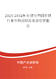 2025-2031年全球與中國生鐵行業市場調研及發展前景報告