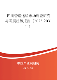 四川管道運輸市場調(diào)查研究與發(fā)展趨勢報告（2025-2031年）