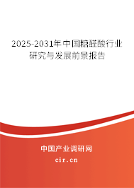 2025-2031年中國糖醛酸行業研究與發展前景報告