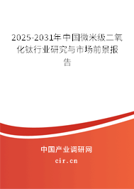 2025-2031年中國微米級二氧化鈦行業研究與市場前景報告