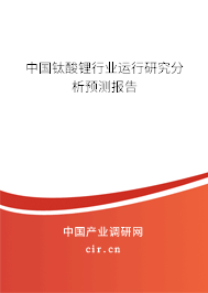 中國鈦酸鋰行業運行研究分析預測報告