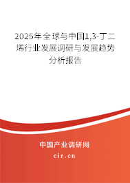 2025年全球與中國1,3-丁二烯行業發展調研與發展趨勢分析報告