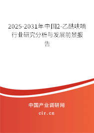 2025-2031年中國2-乙酰呋喃行業研究分析與發展前景報告