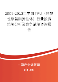 2009-2012年中國(guó)TPU（熱塑性聚氨酯彈性體）行業(yè)投資策略分析及競(jìng)爭(zhēng)戰(zhàn)略咨詢(xún)報(bào)告