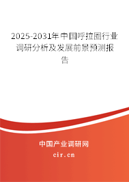 2025-2031年中國呼拉圈行業(yè)調(diào)研分析及發(fā)展前景預(yù)測報告