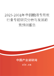 2025-2031年中國糖液專用炭行業專題研究分析與發展趨勢預測報告