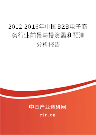 2012-2016年中國B2B電子商務行業前景與投資盈利預測分析報告