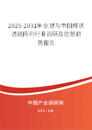 2024-2030年全球與中國(guó)棒狀透鏡陣列行業(yè)調(diào)研及前景趨勢(shì)報(bào)告