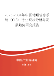 2025-2031年中國地理信息系統（GIS）行業(yè)現狀分析與發(fā)展趨勢研究報告