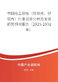 中國電工鋼板（硅鋼片、矽鋼片）行業調查分析及發展趨勢預測報告（2025-2031年）