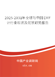2025-2031年全球與中國EMF計行業現狀及前景趨勢報告