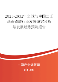 2025-2031年全球與中國二壬基萘磺酸行業(yè)發(fā)展研究分析與發(fā)展趨勢預測報告