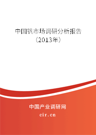 中國釩市場調研分析報告（2013年）