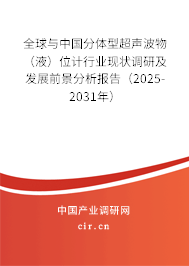 全球與中國分體型超聲波物（液）位計行業現狀調研及發展前景分析報告（2025-2031年）