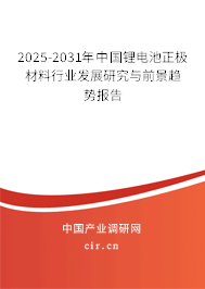 2025-2031年中國(guó)鋰電池正極材料行業(yè)發(fā)展研究與前景趨勢(shì)報(bào)告