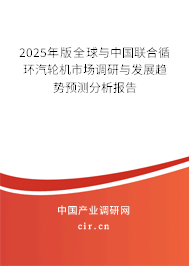2025年版全球與中國(guó)聯(lián)合循環(huán)汽輪機(jī)市場(chǎng)調(diào)研與發(fā)展趨勢(shì)預(yù)測(cè)分析報(bào)告