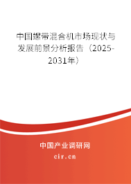 中國螺帶混合機市場現狀與發展前景分析報告（2025-2031年）
