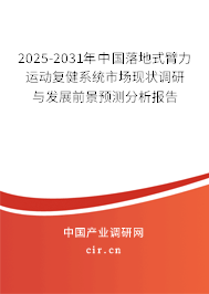 2025-2031年中國落地式臂力運動復健系統市場現狀調研與發展前景預測分析報告