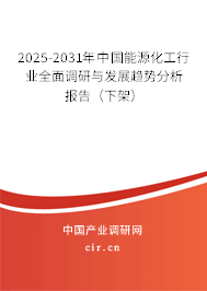 2025-2031年中國能源化工行業全面調研與發展趨勢分析報告（下架）