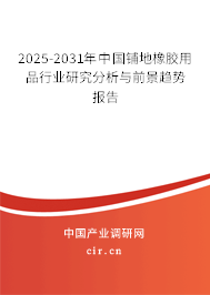 2025-2031年中國鋪地橡膠用品行業研究分析與前景趨勢報告