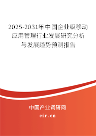 2025-2031年中國企業級移動應用管理行業發展研究分析與發展趨勢預測報告