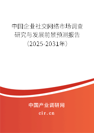 中國企業社交網絡市場調查研究與發展前景預測報告（2025-2031年）