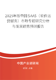 2025年版中國SAAS（軟件運營服務）市場專題研究分析與發展趨勢預測報告