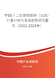 中國十二烷基硫酸鈉（SDS）行業分析與發展趨勢研究報告（2022-2028年）