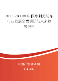 2025-2031年中國水刺無紡布行業發展全面調研與未來趨勢報告