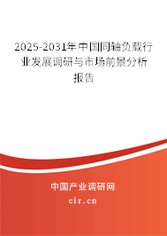 2025-2031年中國同軸負載行業(yè)發(fā)展調研與市場前景分析報告