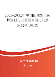 2024-2030年中國圖像型火災探測器行業發展調研與前景趨勢預測報告
