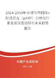 2024-2030年全球與中國微x射線熒光（μXRF）分析儀行業發展深度調研與未來趨勢報告