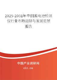 2025-2031年中國蓄電池檢測儀行業市場調研與發展前景報告