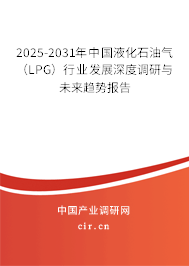2025-2031年中國液化石油氣（LPG）行業發展深度調研與未來趨勢報告