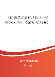 中國(guó)音箱發(fā)展現(xiàn)狀與行業(yè)前景分析報(bào)告（2025-2031年）