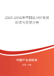2025-2031年中國云IAM發展現狀與前景分析