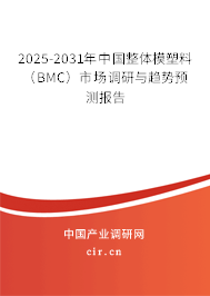2025-2031年中國整體模塑料（BMC）市場調研與趨勢預測報告