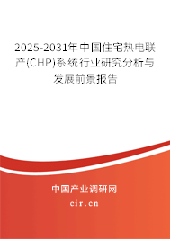 2025-2031年中國(guó)住宅熱電聯(lián)產(chǎn)(CHP)系統(tǒng)行業(yè)研究分析與發(fā)展前景報(bào)告
