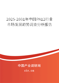 2025-2031年中國PA12行業市場發展趨勢調查分析報告