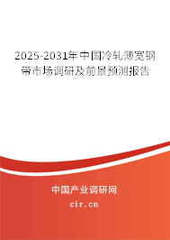 2025-2031年中國冷軋薄寬鋼帶市場調研及前景預測報告