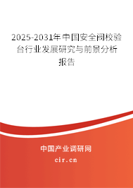 2025-2031年中國安全閥校驗臺行業發展研究與前景分析報告