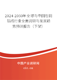 2024-2030年全球與中國包銅鋁線行業全面調研與發展趨勢預測報告（下架）