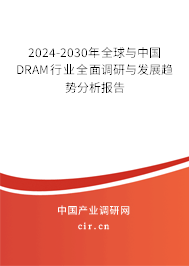 2024-2030年全球與中國(guó)DRAM行業(yè)全面調(diào)研與發(fā)展趨勢(shì)分析報(bào)告