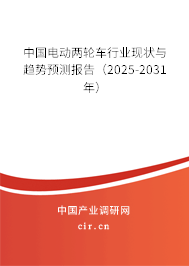 中國(guó)電動(dòng)兩輪車行業(yè)現(xiàn)狀與趨勢(shì)預(yù)測(cè)報(bào)告（2025-2031年）