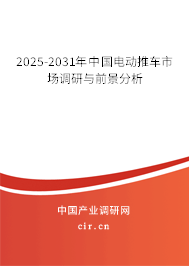 2025-2031年中國電動推車市場調研與前景分析