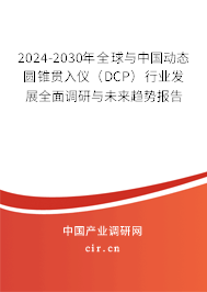 2024-2030年全球與中國(guó)動(dòng)態(tài)圓錐貫入儀（DCP）行業(yè)發(fā)展全面調(diào)研與未來趨勢(shì)報(bào)告