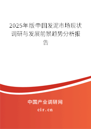2024年版中國發泥市場現狀調研與發展前景趨勢分析報告 2024年版中國發泥市場現狀調研與發展前景趨勢分析報告