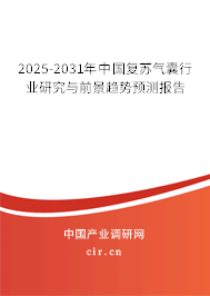 2025-2031年中國復蘇氣囊行業研究與前景趨勢預測報告